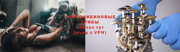 прущие крисы Беломорск