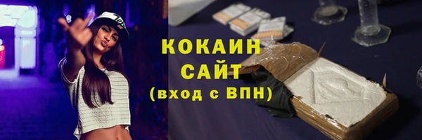 первитин Богданович