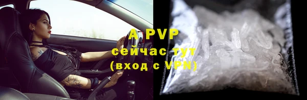 первитин Богданович