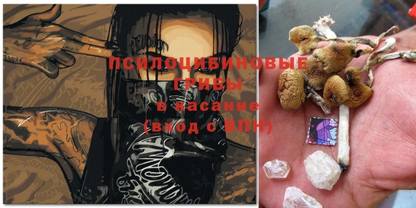 первитин Богданович
