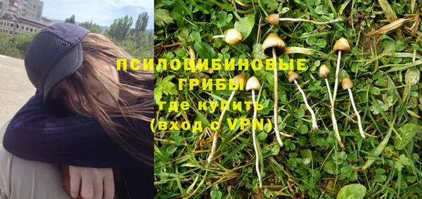 первитин Богданович