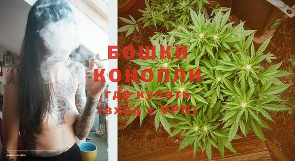 первитин Богданович